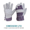 Protecta Leather Gloves