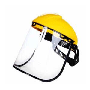 Face shield